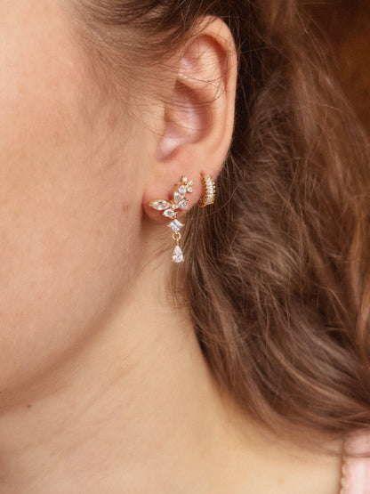 Puces d'oreilles - GELSOMINA