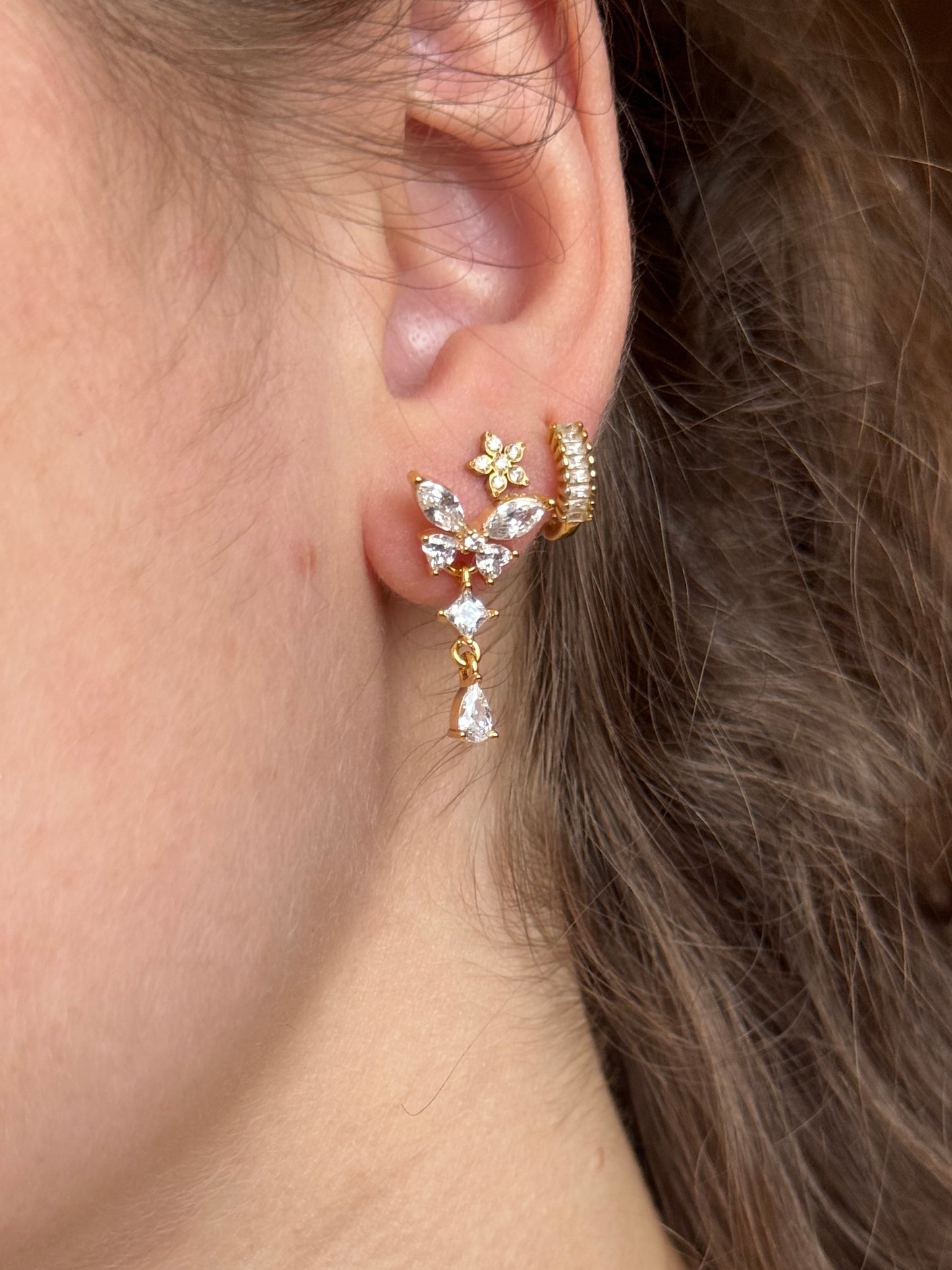 Puces d'oreilles - GELSOMINA