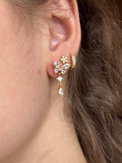 Puces d'oreilles - GELSOMINA