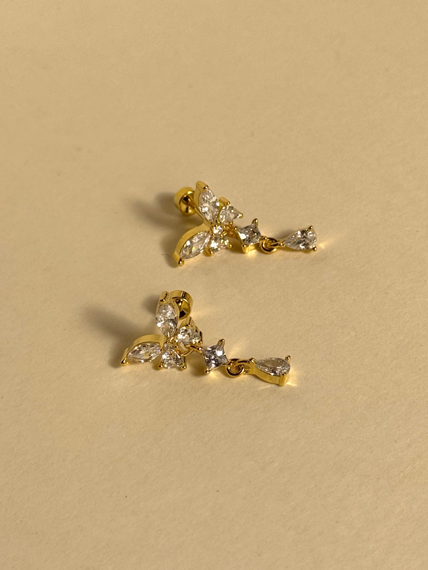 Puces d'oreilles - GELSOMINA