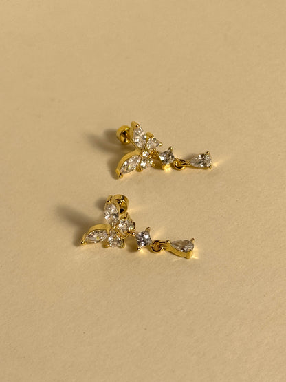 Puces d'oreilles - GELSOMINA