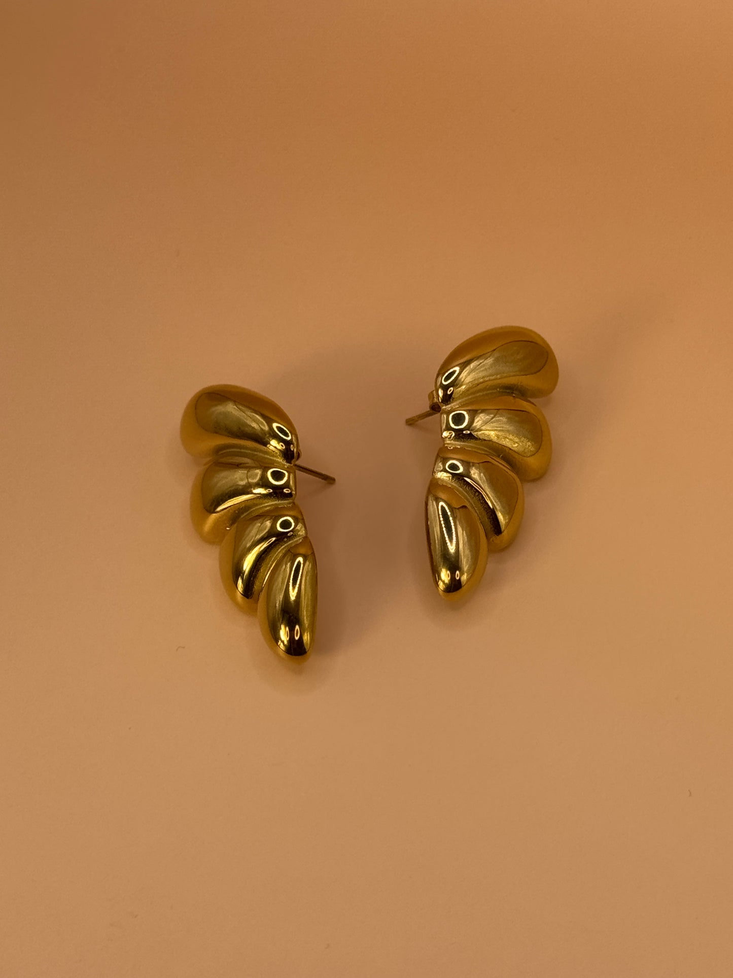 Boucles d'oreilles - RAMBUTEAU