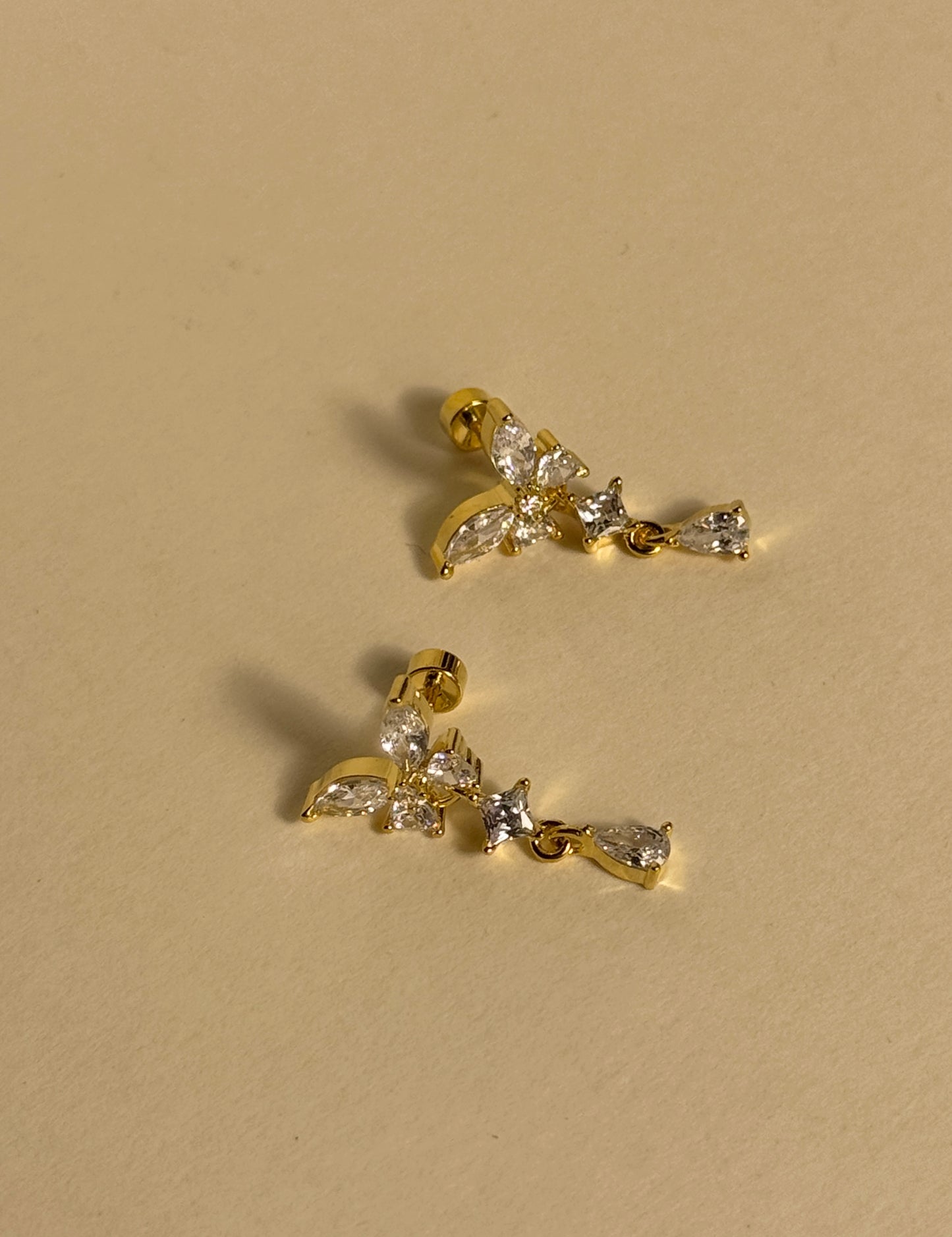Puces d'oreilles - GELSOMINA