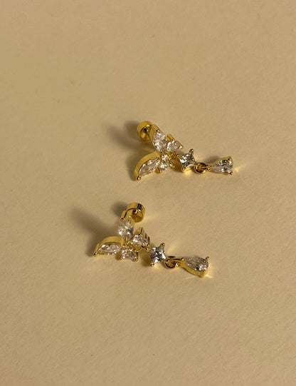 Puces d'oreilles - GELSOMINA