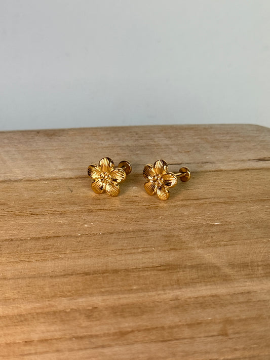 Boucles d'oreilles - VANNEAU