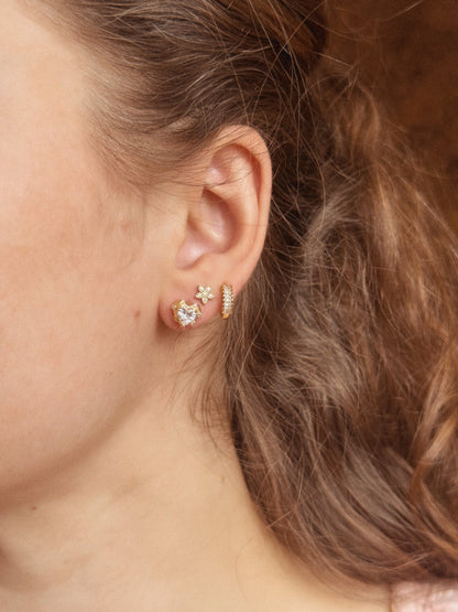 Puce d'oreilles - AMALFI
